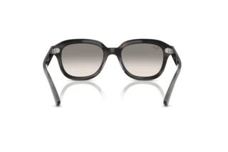 Achteraanzicht Ray-Ban ERIK (RB4398 - 140432)