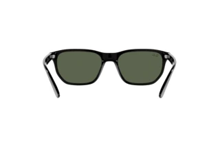 Achteraanzicht Ray-Ban RB4404M (F68371)