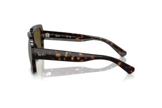 Zijaanzicht Ray-Ban MAGELLAN (RB4408 - 135973)