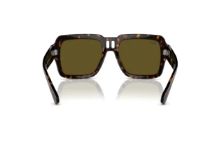 Achteraanzicht Ray-Ban MAGELLAN (RB4408 - 135973)