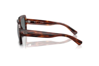 Zijaanzicht Ray-Ban MAGELLAN (RB4408 - 139880)