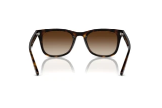 Achteraanzicht Ray-Ban RB4420 (710/13)