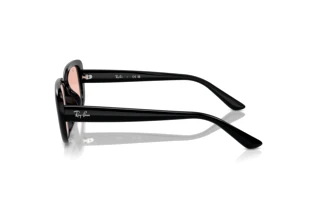 Zijaanzicht Ray-Ban RB4421D (667784)