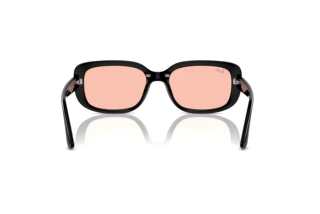 Achteraanzicht Ray-Ban RB4421D (667784)
