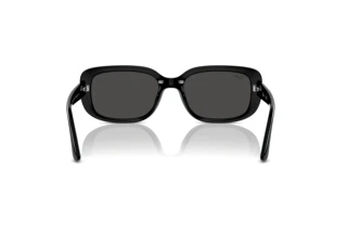 Achteraanzicht Ray-Ban RB4421D (667787)
