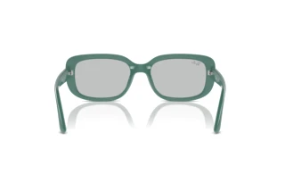 Achteraanzicht Ray-Ban RB4421D (676287)