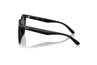 Zijaanzicht Ray-Ban RB4423D (601/87)