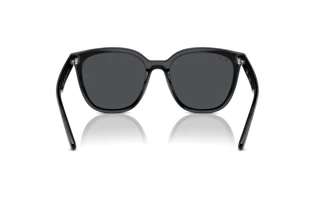 Achteraanzicht Ray-Ban RB4423D (601/87)