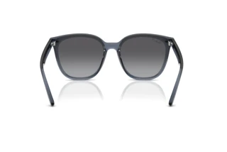Achteraanzicht Ray-Ban RB4423D (6592T3)