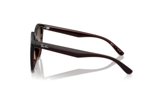 Zijaanzicht Ray-Ban RB4423D (714/13)