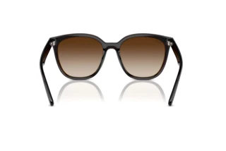 Achteraanzicht Ray-Ban RB4423D (714/13)