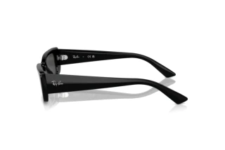 Zijaanzicht Ray-Ban TERU (RB4425 - 667787)