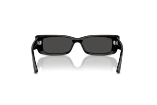 Achteraanzicht Ray-Ban TERU (RB4425 - 667787)