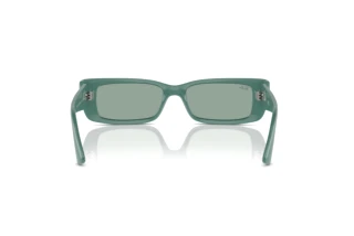 Achteraanzicht Ray-Ban TERU (RB4425 - 676282)