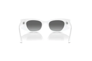 Achteraanzicht Ray-Ban KAT (RB4427 - 675911)