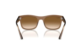 Achteraanzicht Ray-Ban RB4428 (664051)