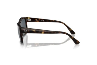 Zijaanzicht Ray-Ban RB4428 (710/R5)
