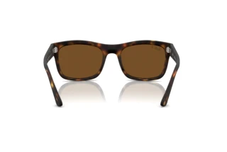 Achteraanzicht Ray-Ban RB4428 (894/57)