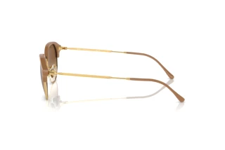 Zijaanzicht Ray-Ban RB4429 (672151)