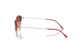 Zijaanzicht Ray-Ban RB4429 (67223B)