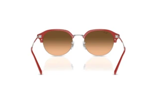 Achteraanzicht Ray-Ban RB4429 (67223B)