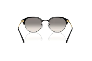 Achteraanzicht Ray-Ban RB4429 (672332)