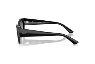 Zijaanzicht Ray-Ban ZENA (RB4430 - 667711)