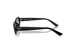 Zijaanzicht Ray-Ban RB4436D (667772)