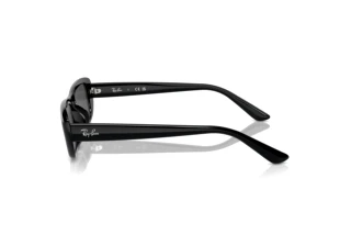Zijaanzicht Ray-Ban RB4436D (667787)