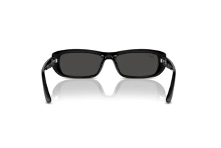 Achteraanzicht Ray-Ban RB4436D (667787)