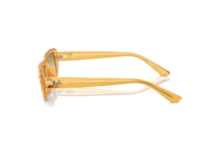 Zijaanzicht Ray-Ban RB4436D (668213)