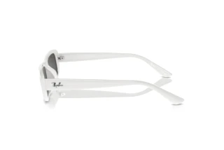 Zijaanzicht Ray-Ban RB4436D (677287)