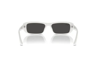Achteraanzicht Ray-Ban RB4436D (677287)