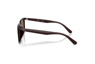 Zijaanzicht Ray-Ban RB4439D (623173)