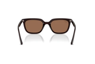 Achteraanzicht Ray-Ban RB4439D (623173)