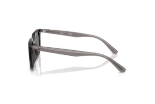 Zijaanzicht Ray-Ban RB4439D (667587)