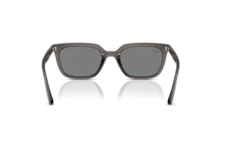 Achteraanzicht Ray-Ban RB4439D (667587)