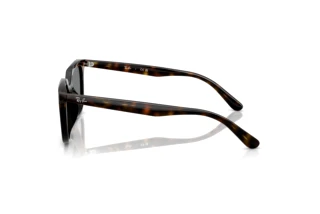 Zijaanzicht Ray-Ban RB4439D (710/87)