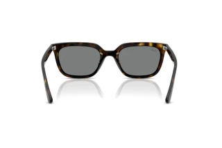 Achteraanzicht Ray-Ban RB4439D (710/87)