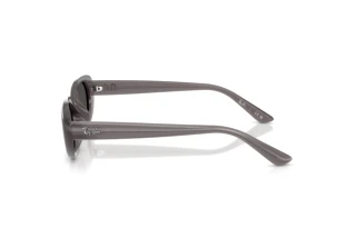 Zijaanzicht Ray-Ban RB4441D (677787)