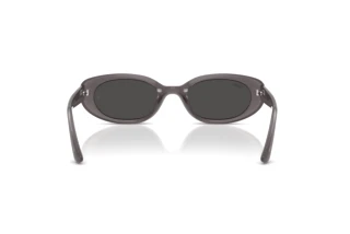 Achteraanzicht Ray-Ban RB4441D (677787)