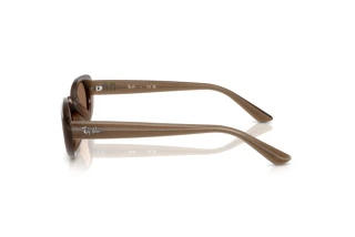 Zijaanzicht Ray-Ban RB4441D (677973)