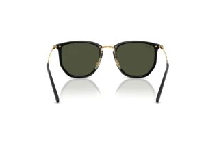 Achteraanzicht Ray-Ban RB4451 (630631)