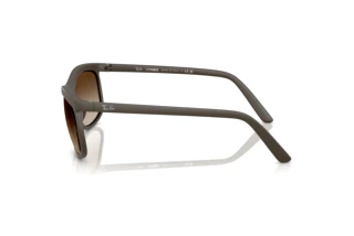 Zijaanzicht Ray-Ban RB4452 (612413)