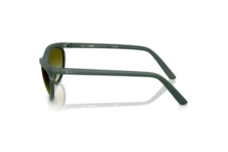 Zijaanzicht Ray-Ban RB4453 (6016E8)