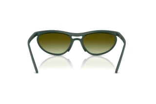 Achteraanzicht Ray-Ban RB4453 (6016E8)