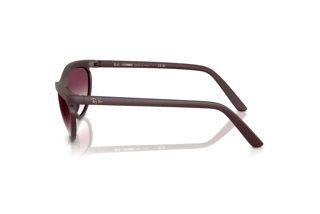 Zijaanzicht Ray-Ban RB4453 (64458H)