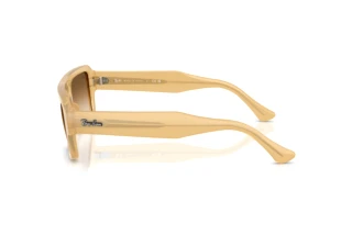 Zijaanzicht Ray-Ban FLACKO (RB4454 - 680651)