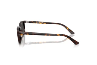Zijaanzicht Ray-Ban ZAYA (RB4456 - 135987)