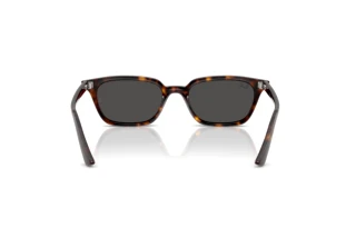 Achteraanzicht Ray-Ban ZAYA (RB4456 - 135987)